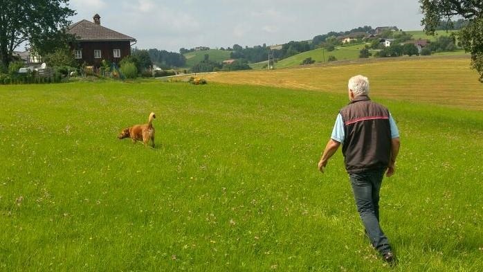 Nasearbeit Fährtentraining Hundeschule Oberösterreich