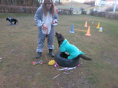 Fasching in der Hundeschule