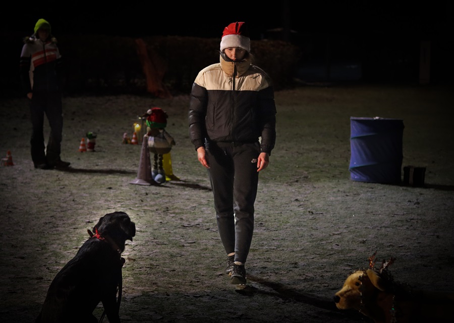 Weihnachtsgrüße aus der Hundeschule