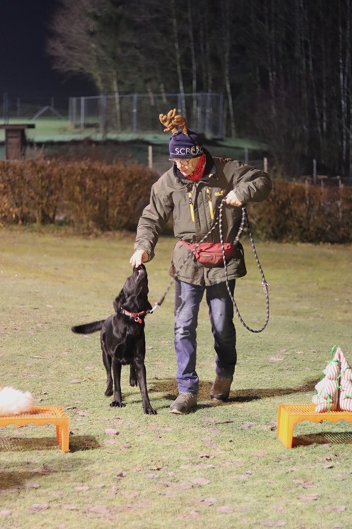 Winterkurs Hundekurse